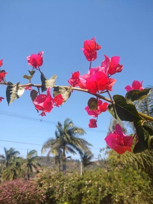 Chale Aconchegante Em Estancia Climatica Santo Antônio do Leite Εξωτερικό φωτογραφία