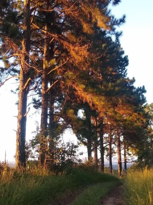 Chale Aconchegante Em Estancia Climatica Santo Antônio do Leite Εξωτερικό φωτογραφία